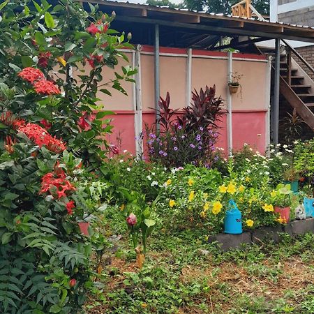 Hospedaje Bananas Altagracia Exterior foto