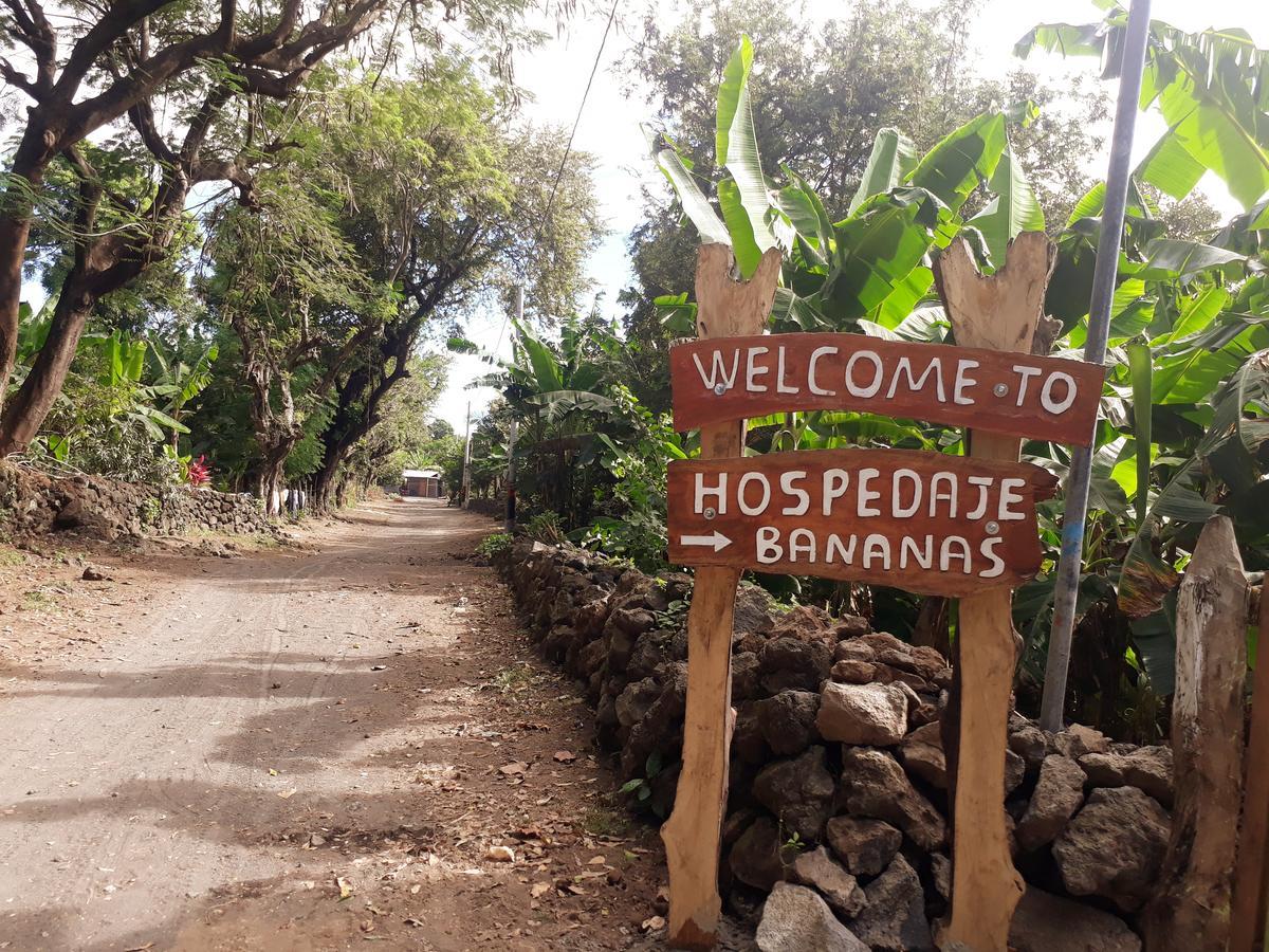 Hospedaje Bananas Altagracia Exterior foto