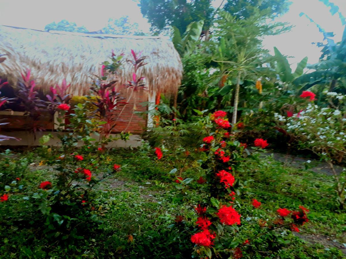 Hospedaje Bananas Altagracia Exterior foto